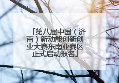 第八届中国（济南）新动能创新创业大赛东南亚赛区正式启动报名