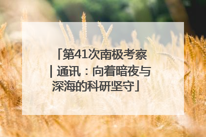 第41次南极考察｜通讯：向着暗夜与深海的科研坚守