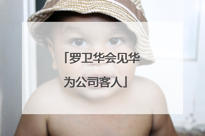 罗卫华会见华为公司客人