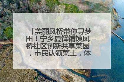美丽凤桥带你寻梦田！宁乡夏铎铺镇凤桥社区创新共享菜园，市民认领菜土，体验耕种收获乐趣