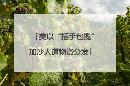 美以“插手包揽”加沙人道物资分发