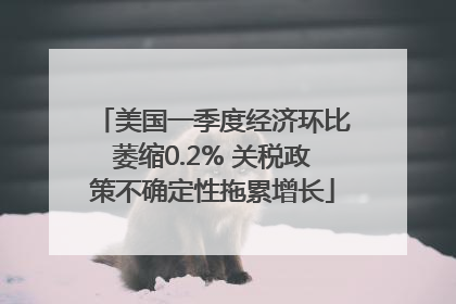 美国一季度经济环比萎缩0.2% 关税政策不确定性拖累增长