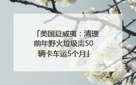 美国夏威夷：清理前年野火垃圾需50辆卡车运5个月