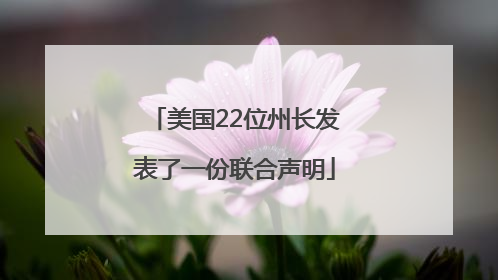 美国22位州长发表了一份联合声明