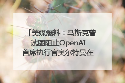 美媒爆料：马斯克曾试图阻止OpenAI首席执行官奥尔特曼在中东的AI交易