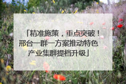 精准施策，重点突破！邢台一群一方案推动特色产业集群提档升级