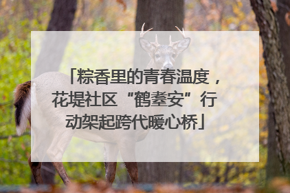 粽香里的青春温度，花堤社区“鹤耋安”行动架起跨代暖心桥