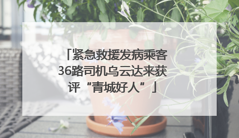紧急救援发病乘客 36路司机乌云达来获评“青城好人”