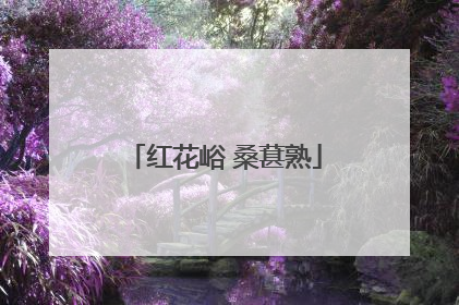 红花峪 桑葚熟
