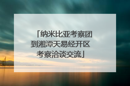 纳米比亚考察团到湘潭天易经开区考察洽谈交流
