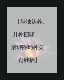 绿地认养、开种植课……治理圈地种菜有妙招