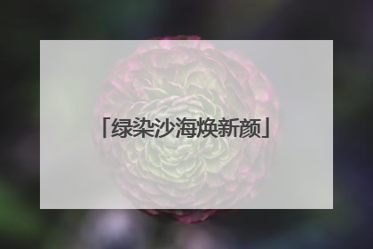 绿染沙海焕新颜