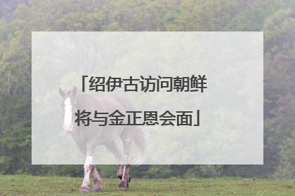 绍伊古访问朝鲜 将与金正恩会面
