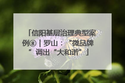 信阳基层治理典型案例⑧｜罗山：“微品牌”调出“大和谐”