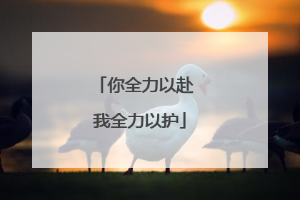 你全力以赴 我全力以护