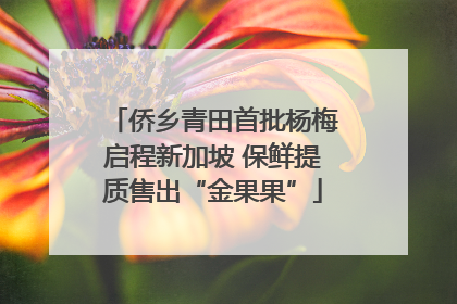 侨乡青田首批杨梅启程新加坡 保鲜提质售出“金果果”