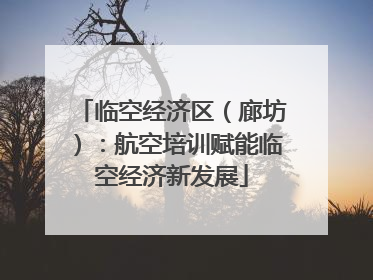 临空经济区（廊坊）：航空培训赋能临空经济新发展