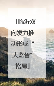 临沂双向发力推动形成“大监督”格局