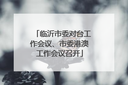 临沂市委对台工作会议、市委港澳工作会议召开