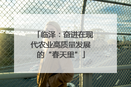 临泽：奋进在现代农业高质量发展的“春天里”