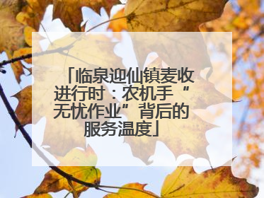 临泉迎仙镇麦收进行时：农机手“无忧作业”背后的服务温度
