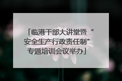 临港干部大讲堂暨“安全生产行政责任制”专题培训会议举办