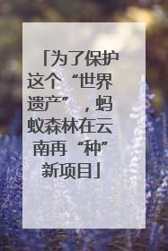 为了保护这个“世界遗产”，蚂蚁森林在云南再“种”新项目