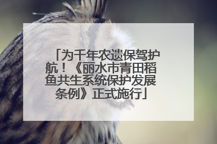 为千年农遗保驾护航！《丽水市青田稻鱼共生系统保护发展条例》正式施行