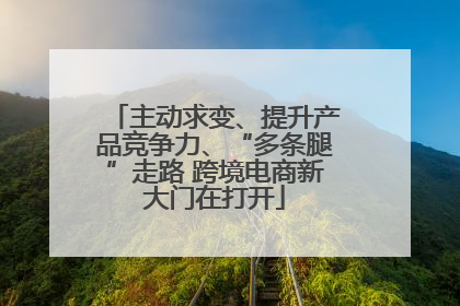 主动求变、提升产品竞争力、“多条腿”走路 跨境电商新大门在打开