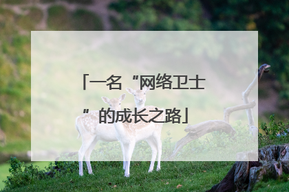 一名“网络卫士”的成长之路