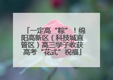 一定高“粽”！绵阳高新区（科技城直管区）高三学子收获高考“花式”祝福