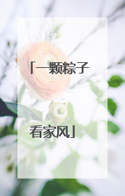 一颗粽子看家风