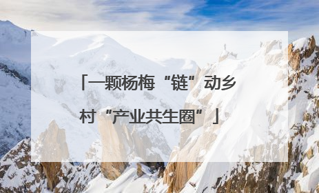 一颗杨梅“链”动乡村“产业共生圈”