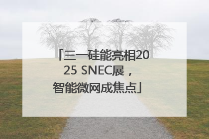 三一硅能亮相2025 SNEC展，智能微网成焦点