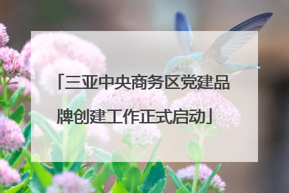 三亚中央商务区党建品牌创建工作正式启动