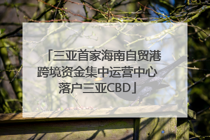 三亚首家海南自贸港跨境资金集中运营中心落户三亚CBD