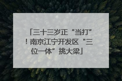 三十三岁正“当打”！南京江宁开发区“三位一体”挑大梁