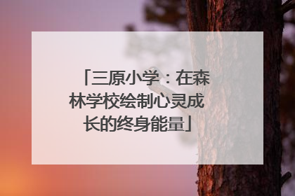 三原小学：在森林学校绘制心灵成长的终身能量