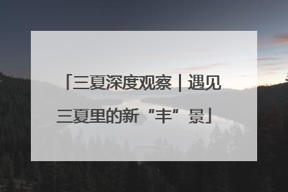 三夏深度观察｜遇见三夏里的新“丰”景