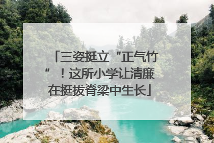 三姿挺立“正气竹”！这所小学让清廉在挺拔脊梁中生长