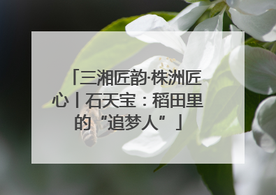 三湘匠韵·株洲匠心丨石天宝：稻田里的“追梦人”