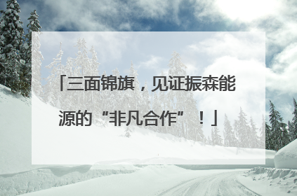 三面锦旗，见证振森能源的“非凡合作”！