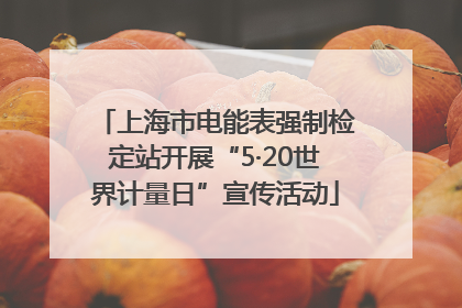 上海市电能表强制检定站开展“5·20世界计量日”宣传活动