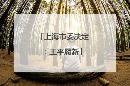 上海市委决定：王平履新