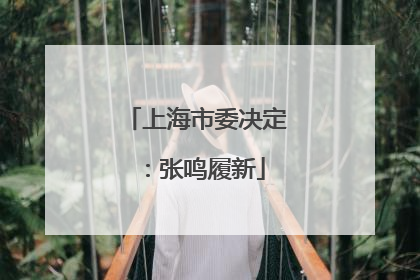 上海市委决定：张鸣履新