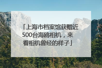 上海市档案馆获赠近500台海鸥相机，来看相机曾经的样子