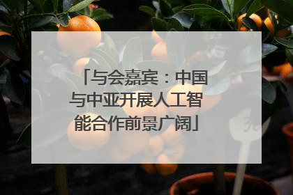 与会嘉宾：中国与中亚开展人工智能合作前景广阔