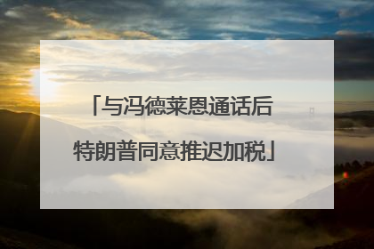 与冯德莱恩通话后 特朗普同意推迟加税