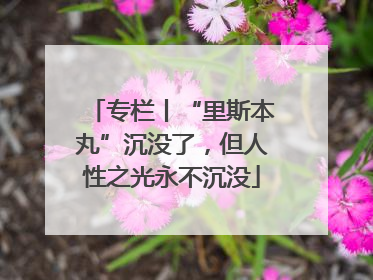专栏丨“里斯本丸”沉没了，但人性之光永不沉没