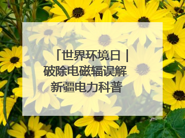 世界环境日｜破除电磁辐误解 新疆电力科普让居民安心